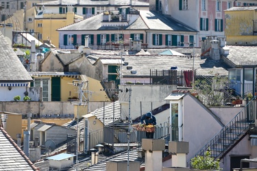 Genova - domenica mattina sui tetti del centro storico dopo stre