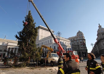albero di natale in Piazza De Ferrari