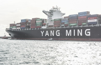 portacontainer Wondrous Yang Ming 17112015-8460