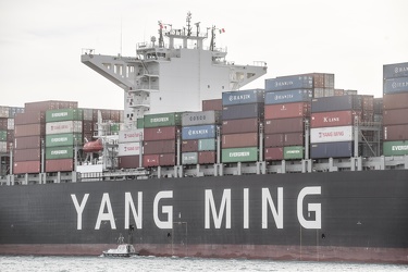 portacontainer Wondrous Yang Ming 17112015-8478