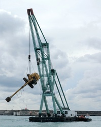 recupero gru 80 ton Porto Ge2006