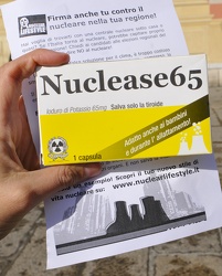 greenpeace Nucleare