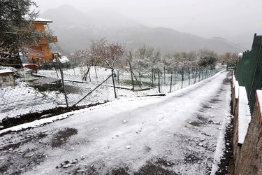 Genova - prime nevicate della stagione