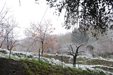Genova - prime nevicate della stagione