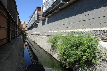 rio stagnante bagni corso italia