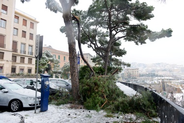Genova - pesante nevicata durante la notte - disagi in citt√†