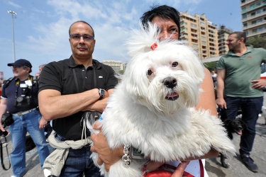 Genova - corsa non competitiva per cani e loro padroni