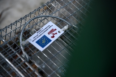 Genova - parco di Nervi - installate le prime gabbie per la catt
