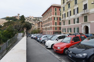Genova, Corso Carbonara - i platani tagliati causa cantiere metr
