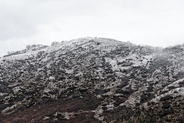 Genova - monte fasce imbiancato dalla neve