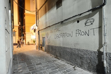 Genova, centro storico - scritta animal liberatiom front in vico