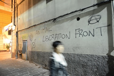Genova, centro storico - scritta animal liberatiom front in vico