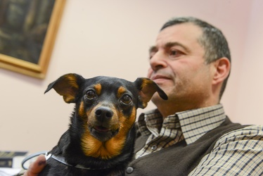 28-01-2015 Genova Ritrovamento cane Milù