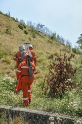 incendio alture Fasce Bogliasco 082016-9557