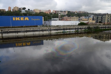 Genova, torrente Polcevera - sversamento di petrolio nel torrent