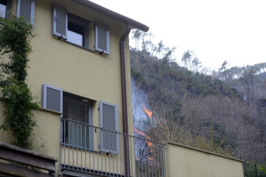 Genova - vasto incendio sulle alture di Pegli