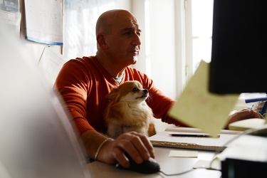Genova - cani negli uffici comunali, la proposta assessore alla 