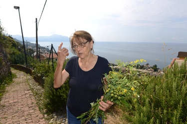 Genova, Bogliasco - la signora Gianna Tasso, esperta di erbe spo