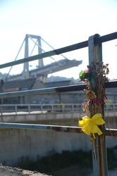 Genova, Certosa - fiori sullo sfondo del ponte Morandi crollato