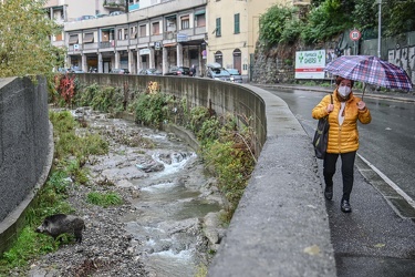 Decennale alluvione 2011 via Fereggiano 03112021-4535