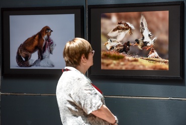 mostra wildlife photographer museo Doria 062016-8233