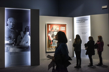 mostra Picasso Ducale 112017-7738