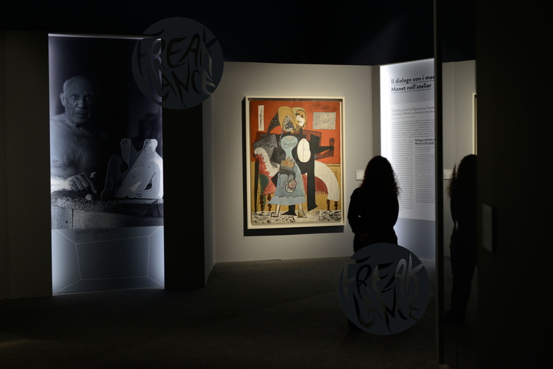 mostra_picasso_Ducale_Ge07112017_8221.jpg