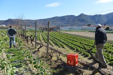 Bastia di Albenga - azienda agricola biologica a conduzione fami