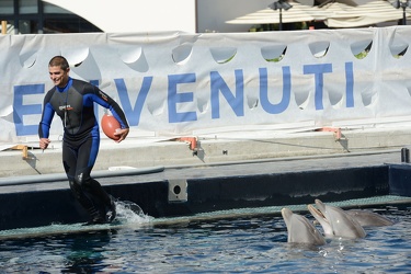 Genova, acquario - tre delfini recalcitranti a entrare nella nuo