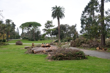 Genova Nervi - la situazione nel parco e attorno dopo il maltemp