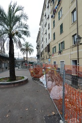 Genova Sampierdarena - piazza Settembrini - taglio degli alberi 