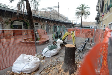 Genova Sampierdarena - piazza Settembrini - taglio degli alberi 