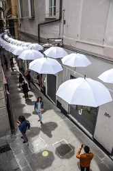 ombrelli bianchi via Luccoli 16042018-1485