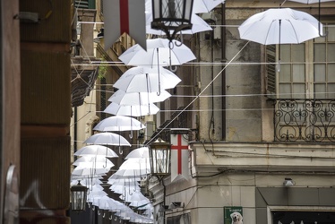 ombrelli bianchi via Luccoli 16042018-1513