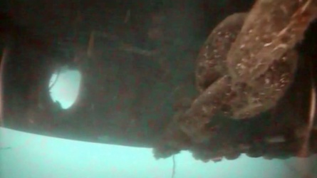 Isola del Giglio - Costa Concordia - immagini ottenute da robot 