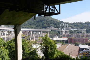 Genova - crollo di Ponte Morandi