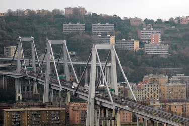 ponte Polcevera autostrada Genova