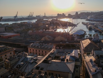 Genova - emergenza coronavirus - foto con il drone tra il centro