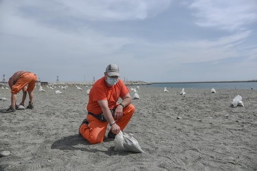 emergenza coronavirus distanziamento spiagge libere 26052020-8504