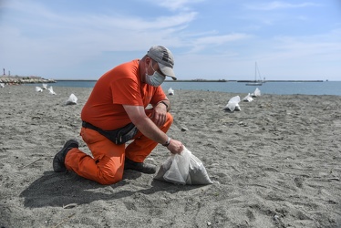 emergenza coronavirus distanziamento spiagge libere 26052020-8509