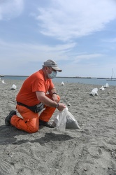 emergenza coronavirus distanziamento spiagge libere 26052020-8529