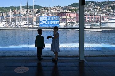 Genova - primo giorno di riapertura per l'acquario