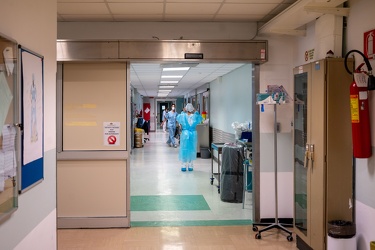 Genova, ospedale San Martino - terapia intensiva Covid