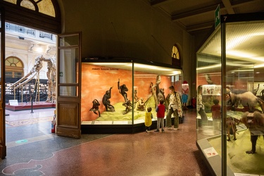 Genova, riapertura musei civici