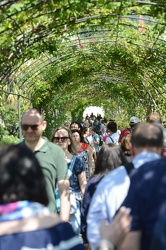 Genova - la prima domenica di EuroFlora