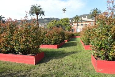 Genova, parchi Nervi - lavori in corso per allestimento EuroFlor