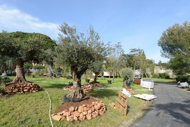 Genova, parchi Nervi - lavori in corso per allestimento EuroFlor