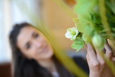 Genova - il giorno prima dell'apertura di EuroFlora