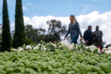 Genova, parchi di Nervi - Euroflora 25 Aprile