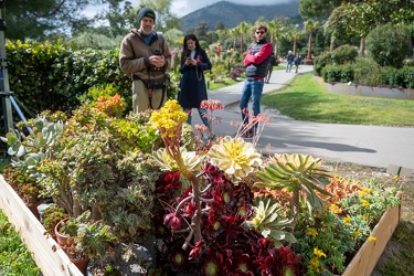 Genova, parchi di Nervi - Euroflora 25 Aprile